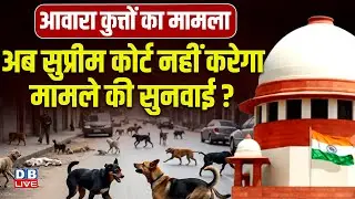 Stray Dogs Supreme Court Hearing: सुप्रीम कोर्ट बोला-'कुत्ते इंसानी डर पहचानते हैं | #dblive