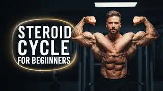 STEROID CYCLE FOR BEGINNERS IN WEIGHT TRAINING