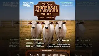 Leilão do Tathersal Torquato Carvalho Viglioni | Montes Claros/MG