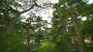 FPV Cinedrone(Panasonic BGH1)_맥문동