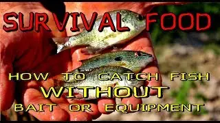 HOW TO CATCH FISH WITHOUT BAIT OR EQUIPMENT - SURVIVAL FOOD