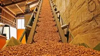 Solid biofuels / Біопаливо / Биотопливо  part1