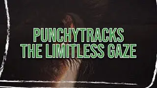 PUNCHYTRACKS - THE LIMITLESS GAZE (NO COPYRIGHT)