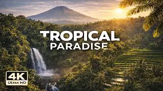 1 Hour Relaxing Drone Nature &mdash; Sri Lanka, Bali & Lombok | Calm Tropical Scenery