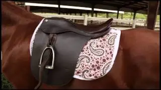 How To Put An English Saddle On Your Horse
