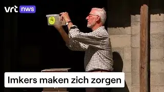Dubbel zoveel Aziatische hoornaars als vorig voorjaar