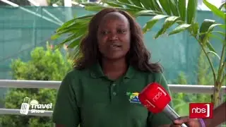 NBS Travel Show with Da Link Safaris