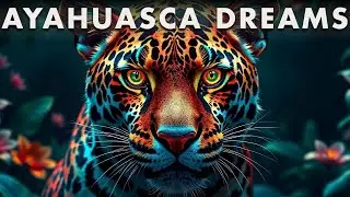 AYAHUASCA DREAMS | Shamanic Sounds for Healing & Inner Journey