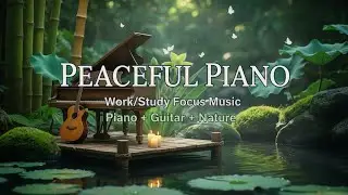 Work & Study Focus Music 🎹 | Calming Piano & Guitar with Nature Sounds