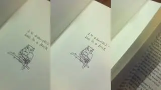 lost in a book - i.v. & swords2