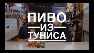Пиво из Туниса | Celtia & Stella