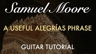 Essential Flamenco Language (Video 2) - A Useful Alegr&iacute;as Phrase