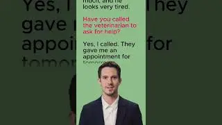 Practice English #englishteacher #englishgrammar #practiceenglish #englishlesson #sickdog