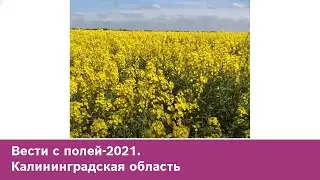 Вести с полей-2021. Калининградская область