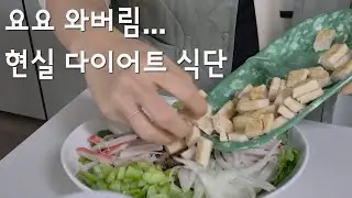 요요 온 백수 주부의 현실 다이어트 식단｜오트밀죽·두부포케·샤브