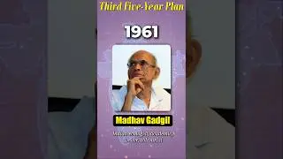 Third Five-Year Plan: A Lesson or a Success?