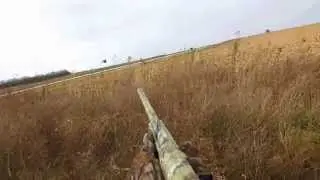 The Long Range 20 Gauge Wild Pheasant Load