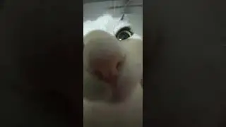 too kid frIEndly slowed