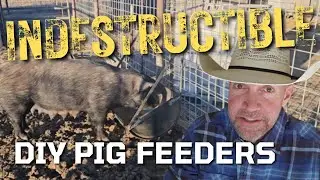 🚜💥 INDESTRUCTIBLE DIY Pig Feeders | Holding Up Against Destructive Pigs (No More Wasted Feed!)