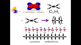 Introduction to polymer Chemistry - Lecturer 1