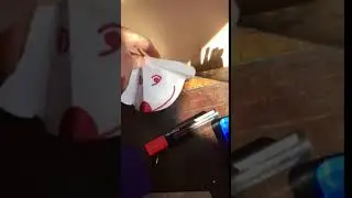 Nodding dog