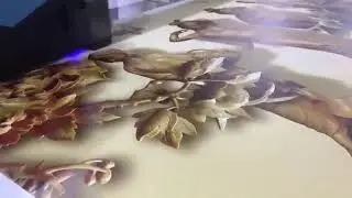 Wanlida Printing videos 21
