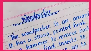 Essay on Woodpecker | English Essay Writing | English writing | Handwriting | Essay | Eng Teach