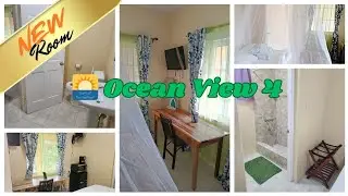 🌅 Ocean View 4  Walkthrough | Viva Violas Guest House, Port Antonio Jamaica