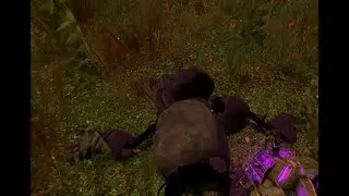 the great bunny war part 1 (fnf 8)