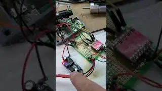 DIY lead screw chicken or duck door.  raspberry pi, motor controller, part 1
