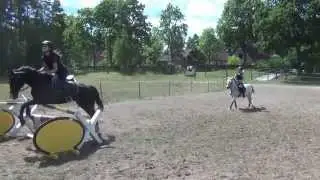 SKJ Poland Park - 2013 zgrupowanie w Raciborze - kadra kucyki - skoki do 100 cm