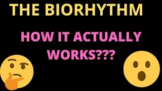 BIORHYTHM REVIEW 2020: HOW IT ACTUALLY WORKS??
