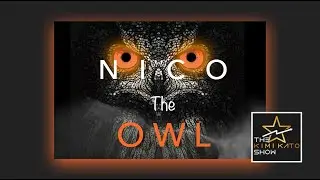 NICO THE OWL - 