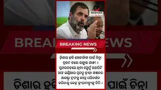 Reporter Live: Rahul Gandhi Express Concern For Odisha Hockey, Writes Letter To Minister Of Sports