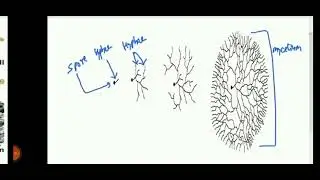 Mycology|Fungi|Mycelium|Septate Hyphae|Aseptate Hyphae