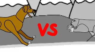 Rhodesian ridgeback vs Pallas cat 