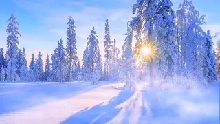 Winter Breeze 🌨️ howling wind background sound for studying relaxing sleeping snowstorm blizzard