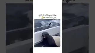 مشهد يثبت أن الأم هي أعظم مقاتلة في العالم! 🥺💔 #لايك #اكسبلور