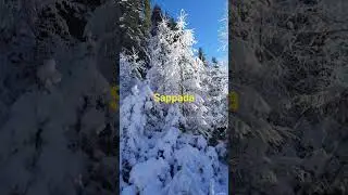Sappada