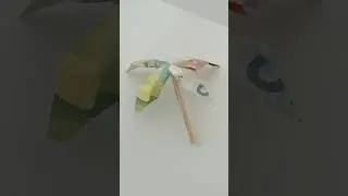 Fold Money Palm - Palme aus Geldscheinen falten #foldmoney #geldgeschenk #moneytutorial #diy