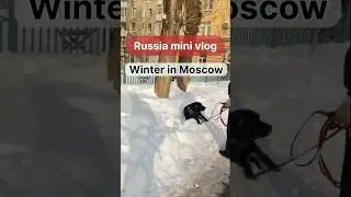😃&hearts;️|Russia vlog indian boy| Russ winter palace| Russia winter life #russia #snow #shorts #viral
