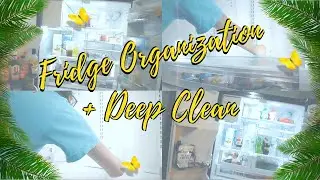 REFRIGERATOR ORGANIZATION + FRIDGE CLEAN WITH ME | EXTREME DEEP CLEAN EDITION