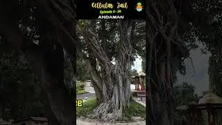 ⛓️ Cellular Jail &ndash; Episode 3 & 4 : Where Every Brick Whispers Freedom !