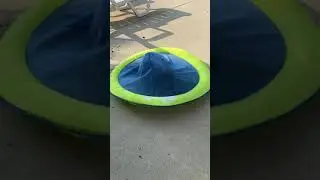 Our puppy Bean gets stuck under a pool float