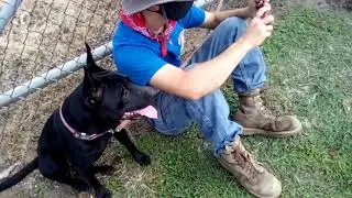 Nbd UP train coming into Lufkin Texas ( with Avery and the backwoods savage)