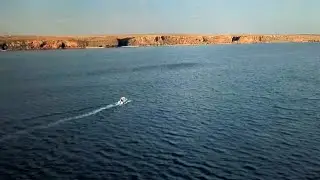Hunting bluefin tuna from the air!