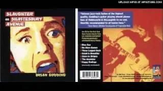 Brian Godding - Stars In Stripes