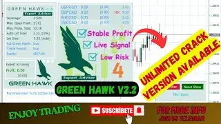 Green Hawk v2.2 | Category : MT4 EA (Build +1430) | No DLL | Best Forex EA 2026|