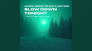 Midnight Calm Flow