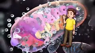 Belajar Biologi Sel: Mitokondria Secara Sederhana (Powerhouse of the cell)